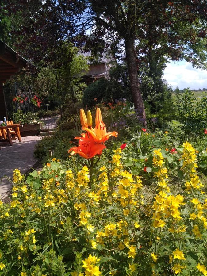 Chalet Le Paradou Adults Only Lessive Dış mekan fotoğraf