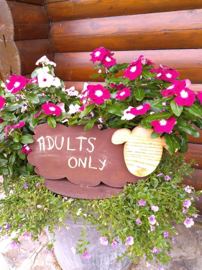 Chalet Le Paradou Adults Only Lessive Dış mekan fotoğraf
